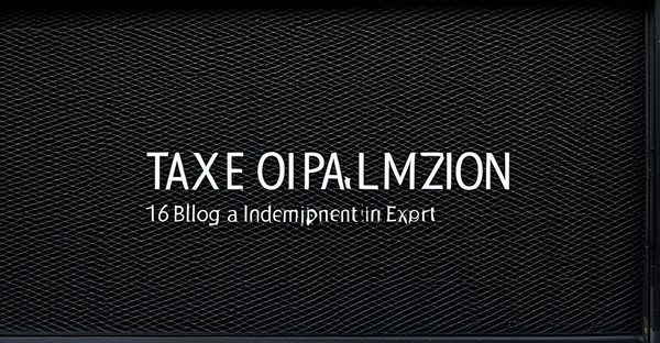 Optimisation fiscale à lille : conseils d'un expert indépendant