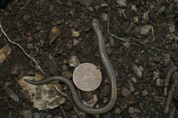 Les erreurs à éviter lors de la comparaison des offres d'assurance auto