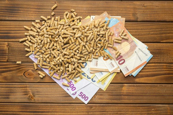 L'importance de l'énergie, biomasse pour un avenir durable